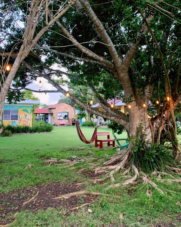 Campito Loving Acomodação com café da manhã Higuey Exterior foto